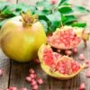 Granatapfel `Haku Botan´ Punica Granatum 2 Granatapfel `Haku Botan´ Punica Granatum -Pflanzenhof Granatapfel weiss Erweiterte Lizenz
