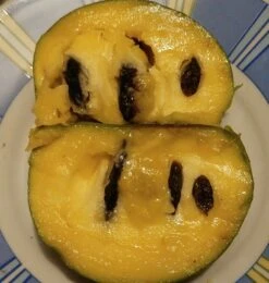 Veredelte Indianerbanane (Paw Paw) `Shenandoah®´ Asimina Triloba `Shenandoah´ 9 Veredelte Indianerbanane (Paw Paw) `Shenandoah®´ Asimina Triloba `Shenandoah´ -Pflanzenhof Indianerbanane von Innen5a0476156796c