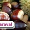 Esskastanie `Maraval´ Castanea Sativa `Maraval´ 2 Esskastanie `Maraval´ Castanea Sativa `Maraval´ -Pflanzenhof Maraval