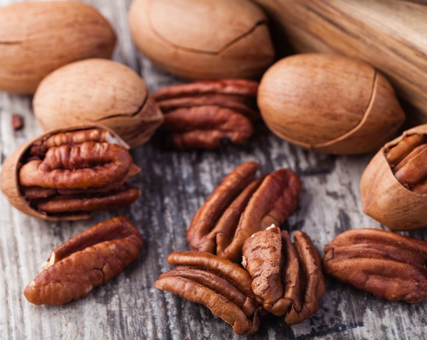 Veredelte Pekan-Nuss `Choctaw´ Carya Illinoinensis 3 Veredelte Pekan-Nuss `Choctaw´ Carya Illinoinensis