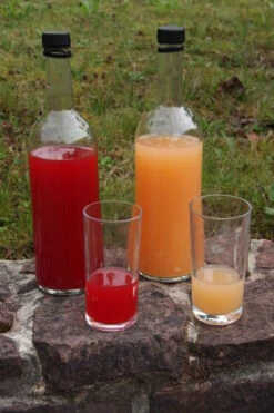 Rosette® Malus Domestica -Pflanzenhof Rosette Saft