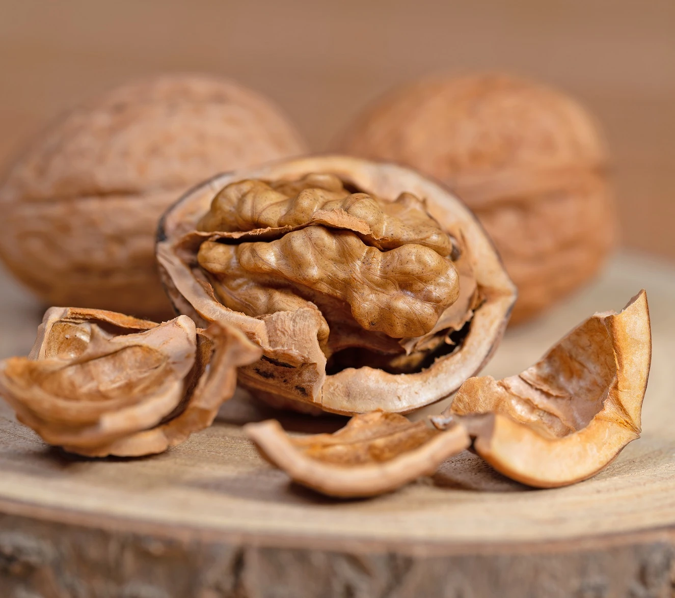 Walnuss `Franquette´ Juglans Regia `Franquette´ 3 Walnuss `Franquette´ Juglans Regia `Franquette´