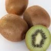 Kiwi `Solissimo´® Actinidia Deliciosa 1 Kiwi `Solissimo´® Actinidia Deliciosa -Pflanzenhof actinidia deliciosa kiwi 1s1b4334