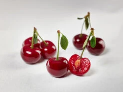 Safir ® Prunus Cerasus `Safir´ 13 Safir ® Prunus Cerasus `Safir´ -Pflanzenhof sauerkirsche safir glCz99JjQsQ3RC