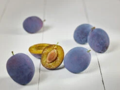 Hanita ® Prunus Domestica `Hanita 13 Hanita ® Prunus Domestica `Hanita -Pflanzenhof zwetschge hanita g